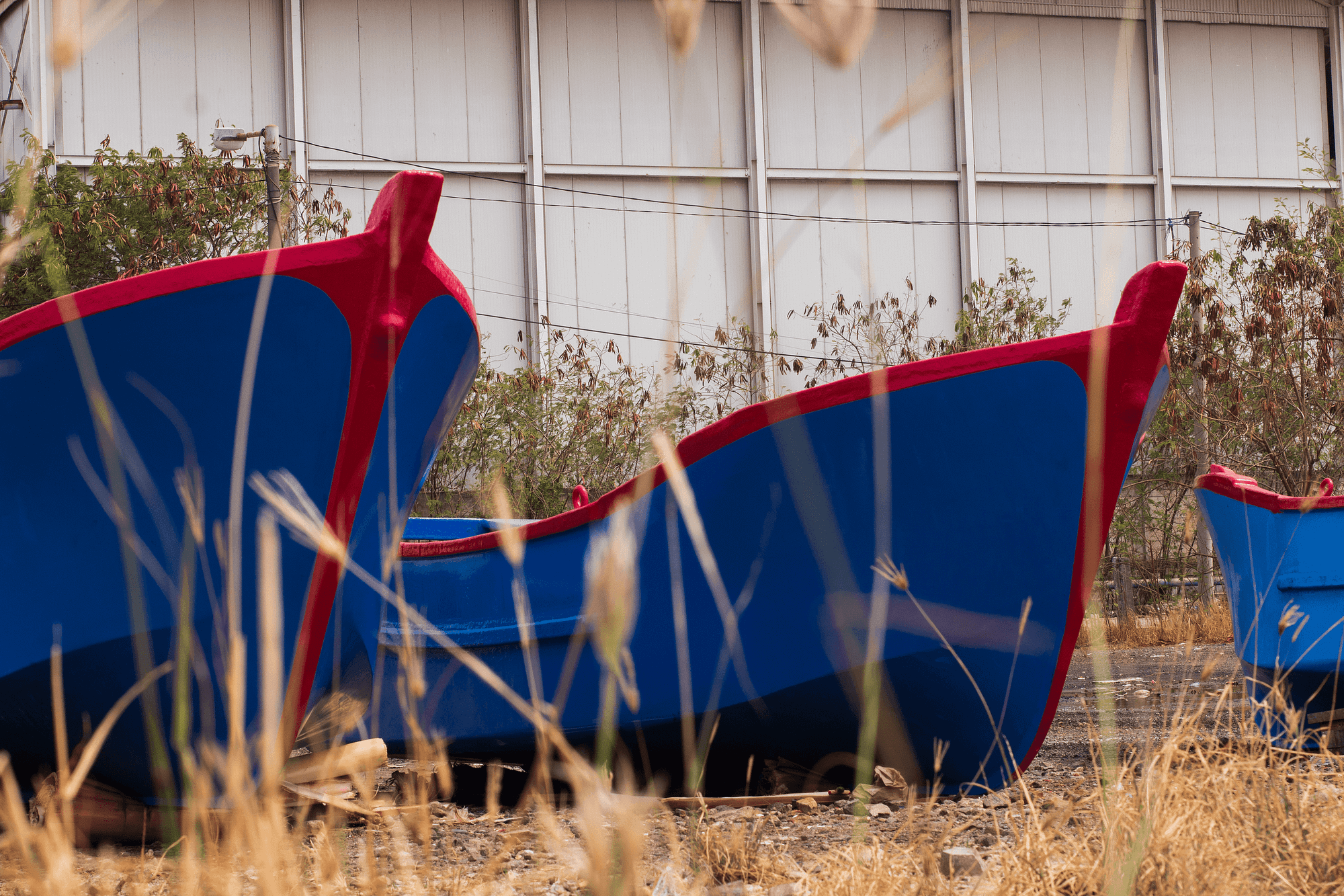 CANOE VIEWS 1-min